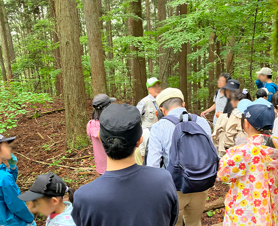 「多摩の森」自然体験ツアー第19回：写真02
