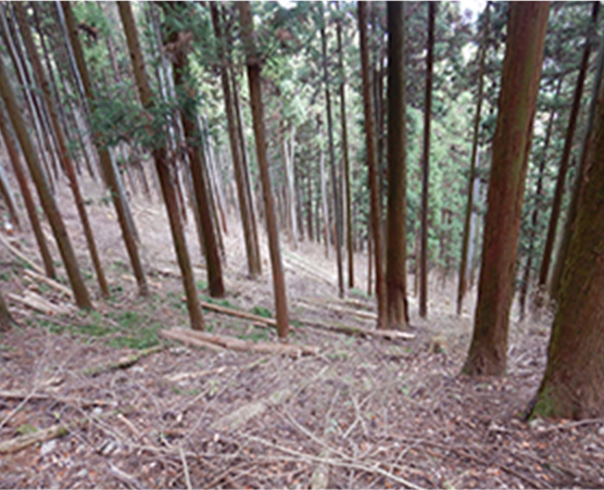 あきる野市千ヶ沢